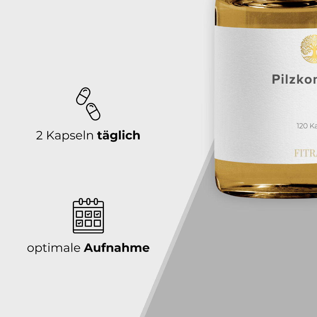 Pilzkomplex