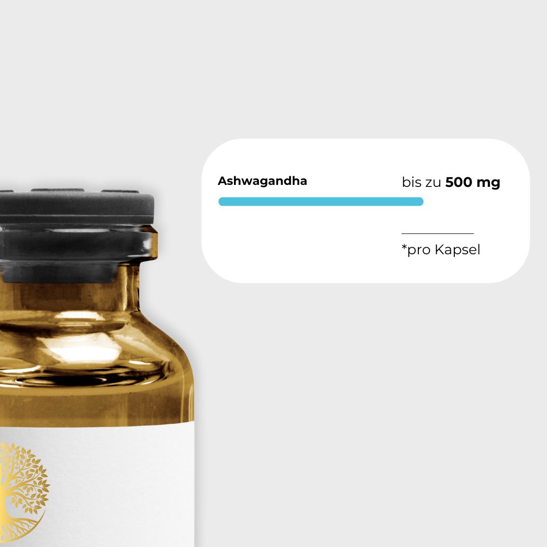Ashwagandha KSM-66 500mg