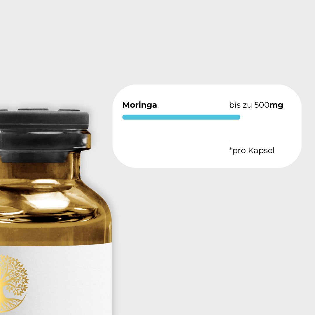 Moringa 500mg