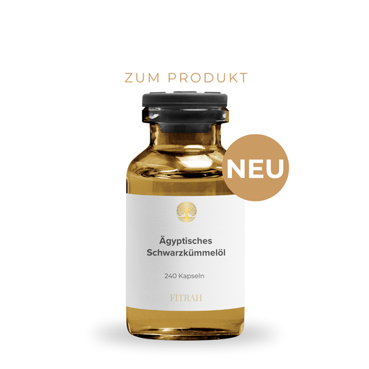 Ägyptisches Schwarzkümmelöl - 240 vegane Softgels