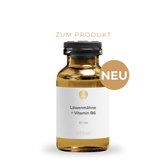 Löwenmähne + Vitamin B6 Gummies - 60 Stk.