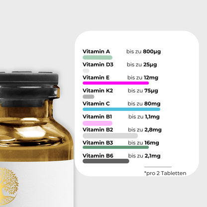 Multivitamin- & Mineralstoff-Komplex