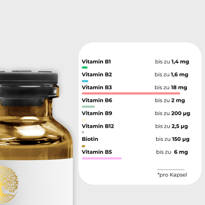 Vitamin B Komplex